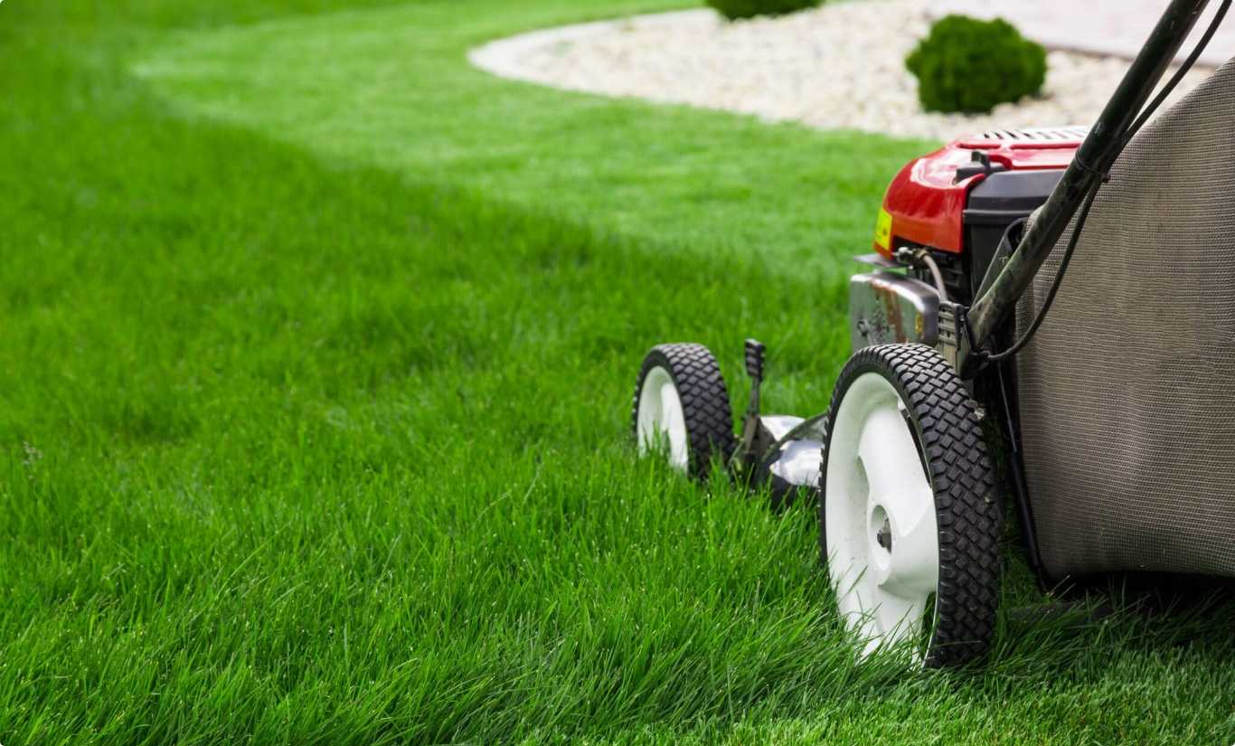 A lawnmower on some grass