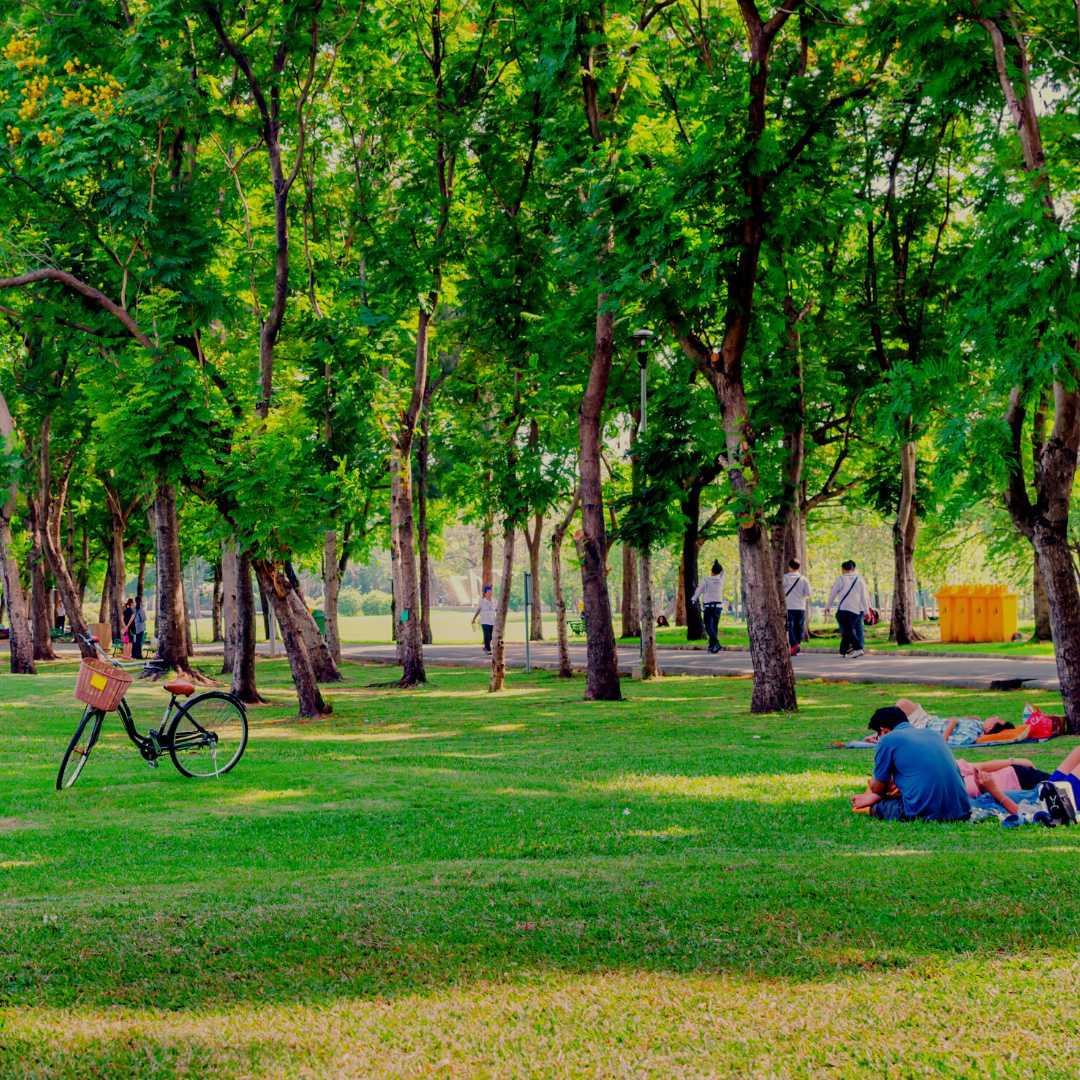 An urban park with people biking, walking and playing